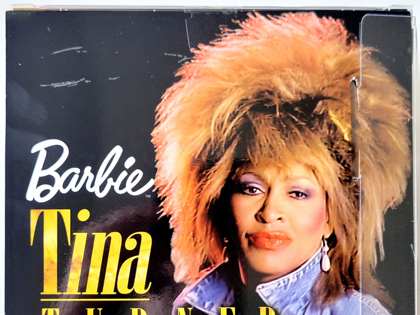 Barbie Signature Music Series Tina Turner