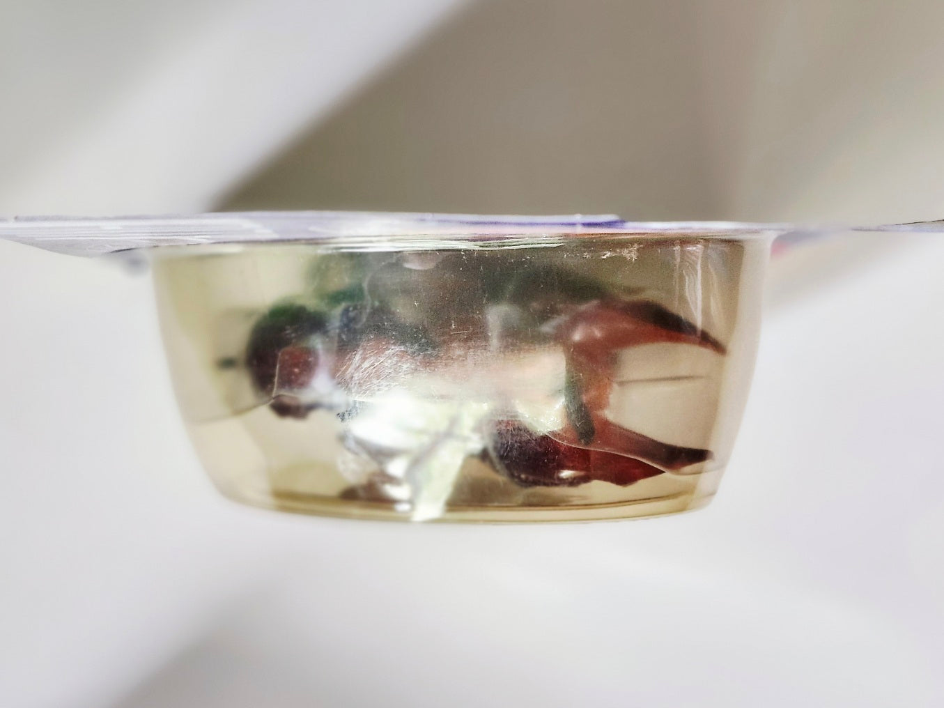 Aliens Rhino Alien Action Figure, 1992