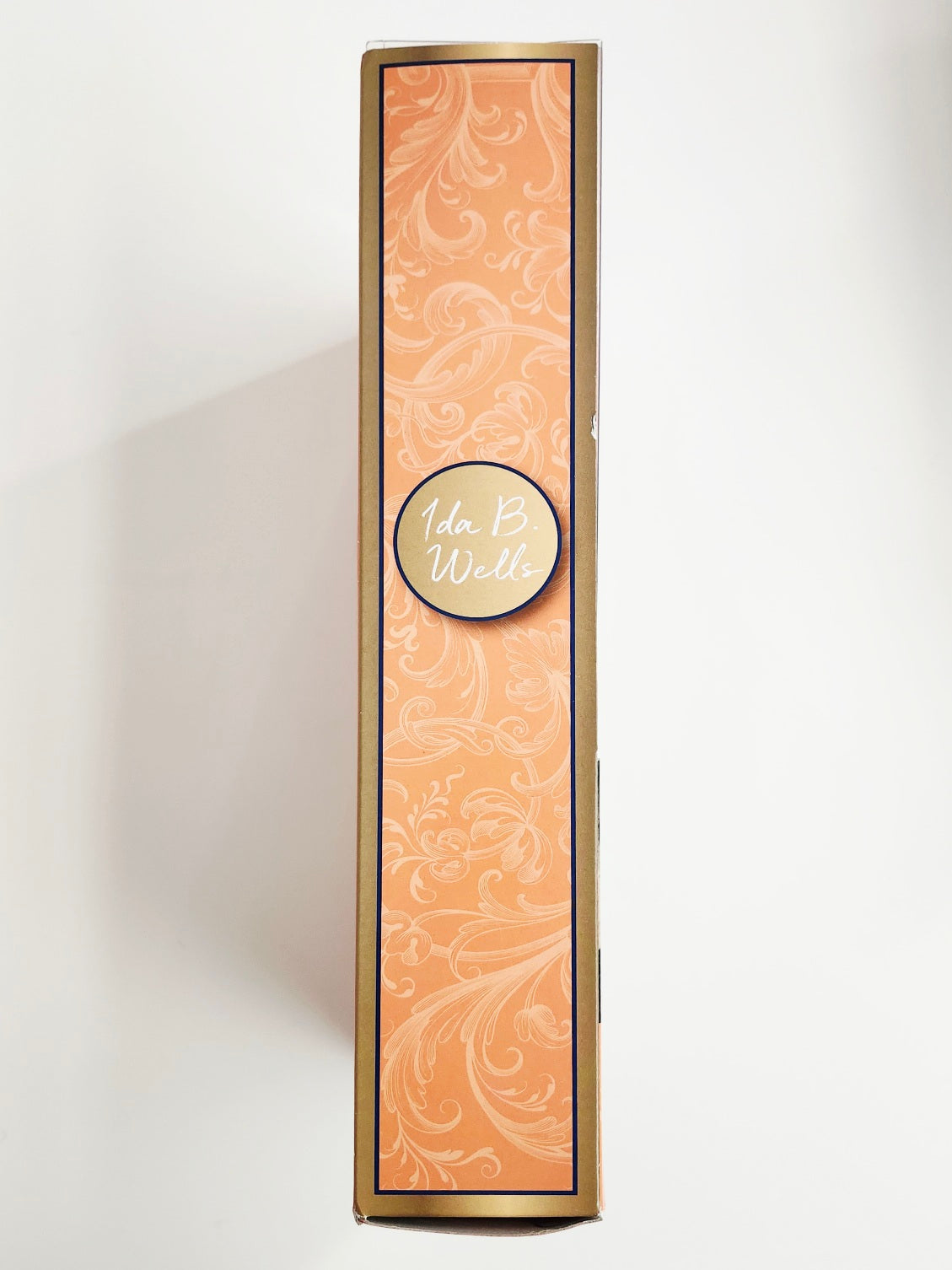 Barbie Signature Inspiring Women Collection Ida B. Wells 11.5-Inch Doll, Not Mint