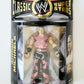 WWE Classic Superstars Series 15 Shawn Michaels (Leather Outfit) Action Figure