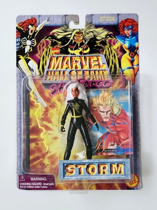 Marvel Hall of Fame She-Force Storm Action Figure