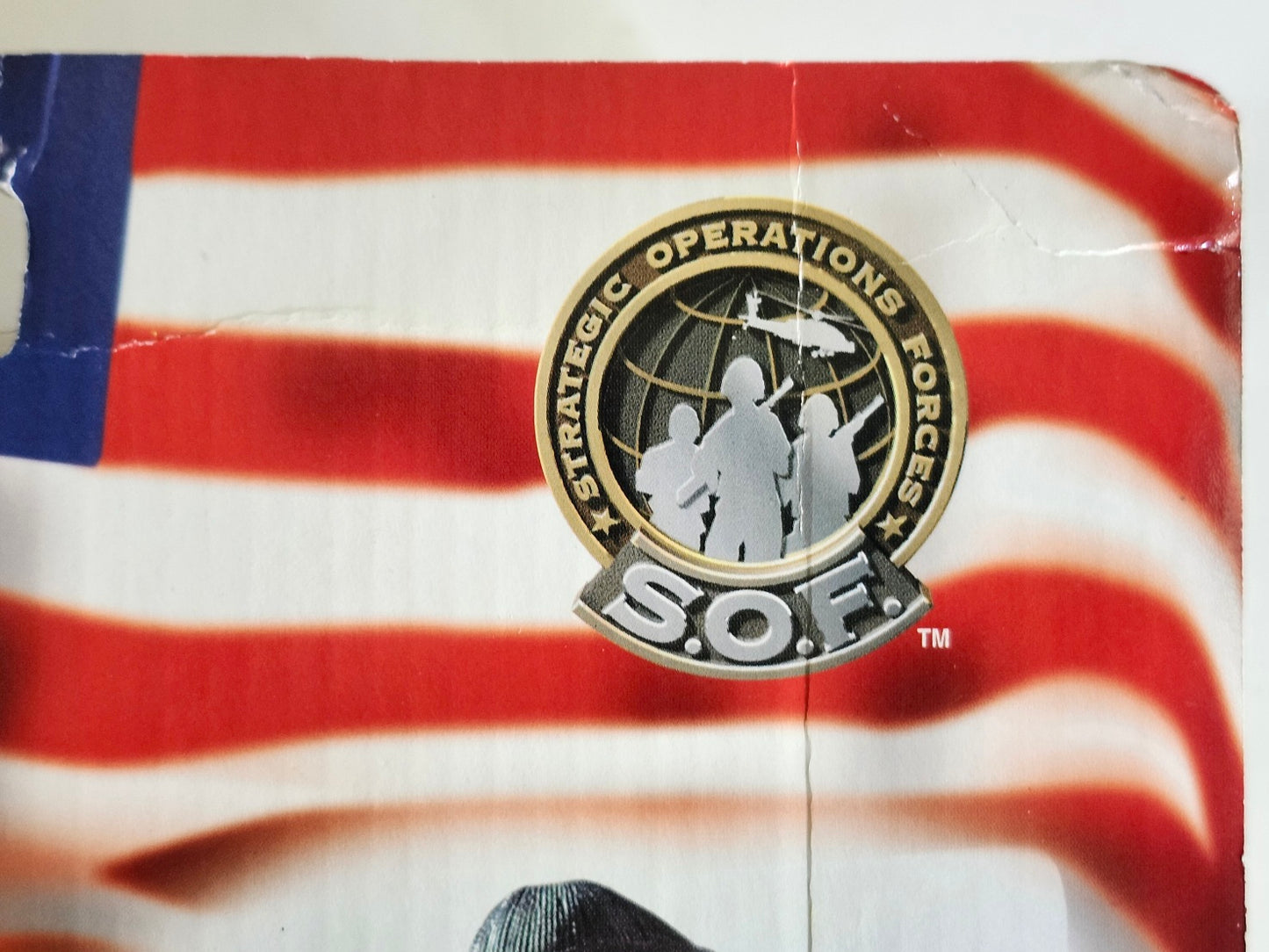 G.I. Joe Mountain Search 12-Inch Action Figure