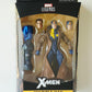 Marvel Legends Apocalypse Series Multiple Man 6-Inch Action Figure